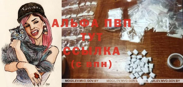 МДПВ Абаза