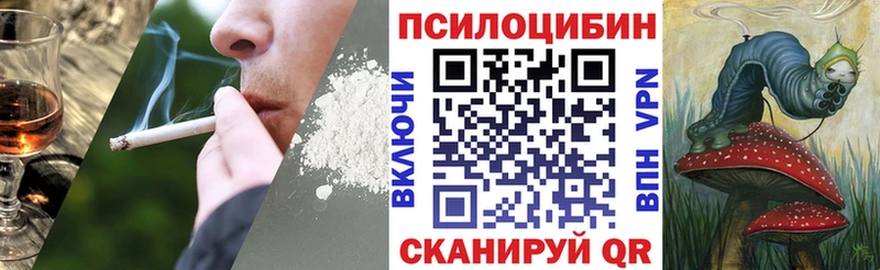 Галлюциногенные грибы мухоморы  Кимовск 